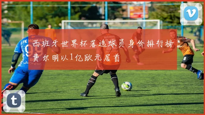 西班牙世界杯落选球员身价排行榜费尔明以1亿欧元居首